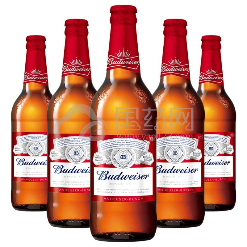 百威budweiser啤酒大瓶装460ml12瓶