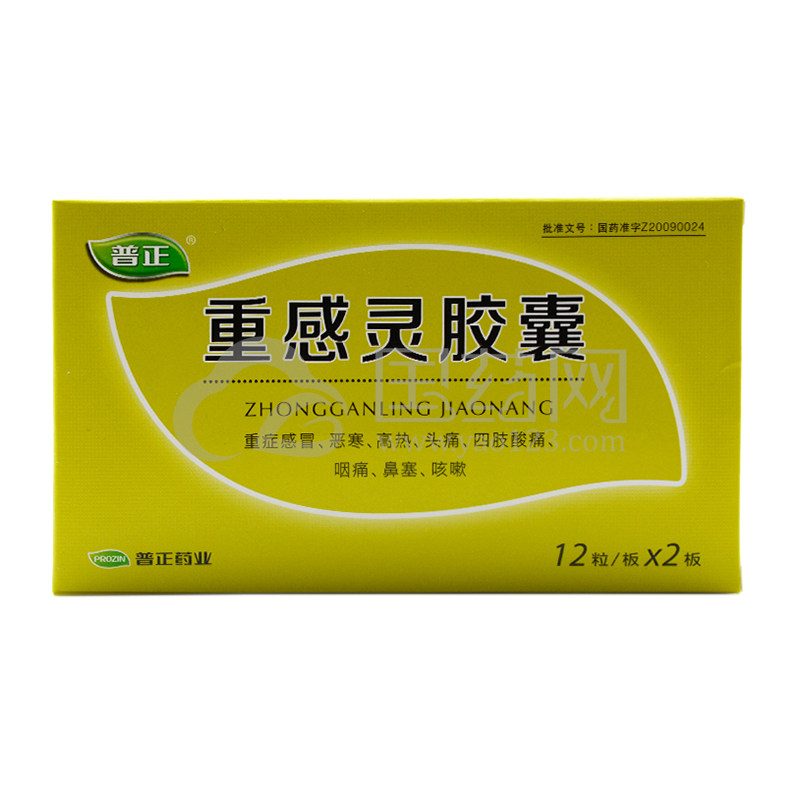 普正 重感灵胶囊 0.5g*24粒/盒