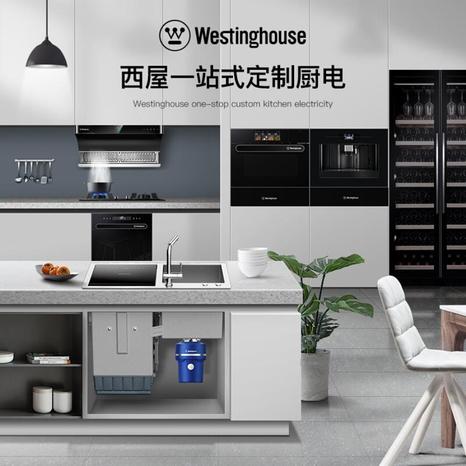 西屋wqp4-c2迷你台式洗碗机 白色小型高温杀菌消毒家用洗碗机 c2bw