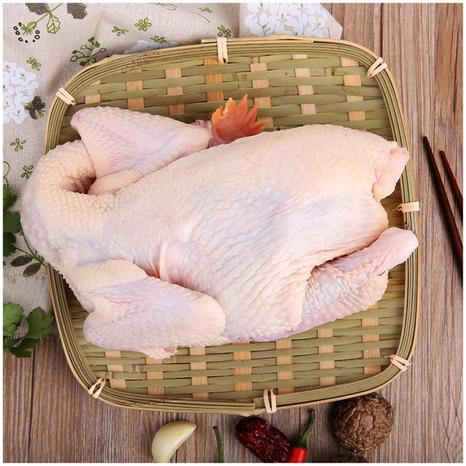 凤中皇 138清远鸡800g 天农原种清远鸡 出口供港严苛品质 农场谷饲138