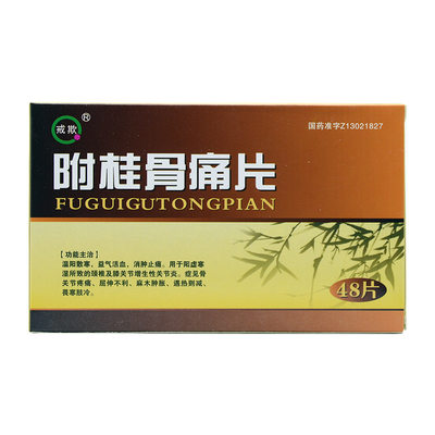 戒欺附桂骨痛片033g48片盒